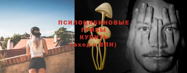 эйфоретик Аркадак