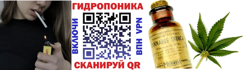 Марихуана VHQ  Петровск-Забайкальский 